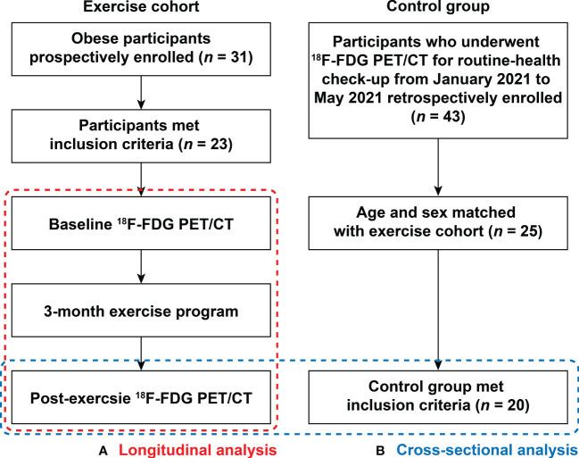https://cdn.ncbi.nlm.nih.gov/pmc/blobs/e479/9851606/76b902f44315/fendo-13-1046838-g001.jpg