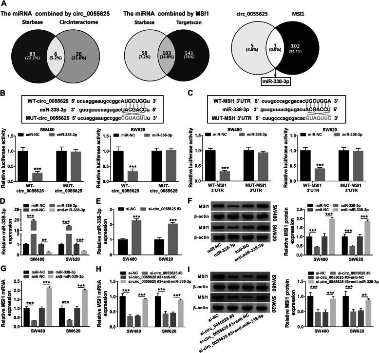https://cdn.ncbi.nlm.nih.gov/pmc/blobs/e47a/8061229/7a8c13127d9d/12957_2021_2234_Fig6_HTML.jpg