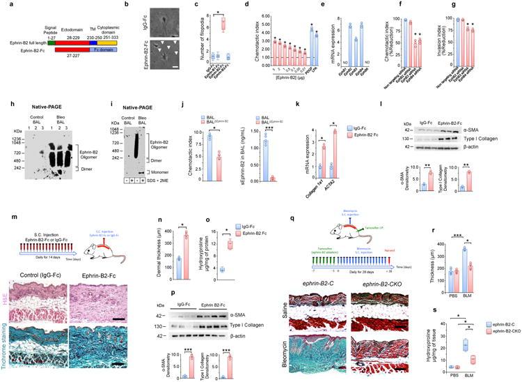 https://cdn.ncbi.nlm.nih.gov/pmc/blobs/e47b/5720906/167184585f7b/nihms905661f3.jpg