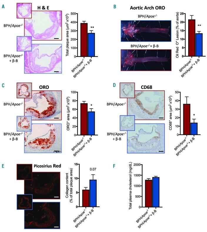 https://cdn.ncbi.nlm.nih.gov/pmc/blobs/e47b/6395347/8891469032b4/104456.fig6.jpg