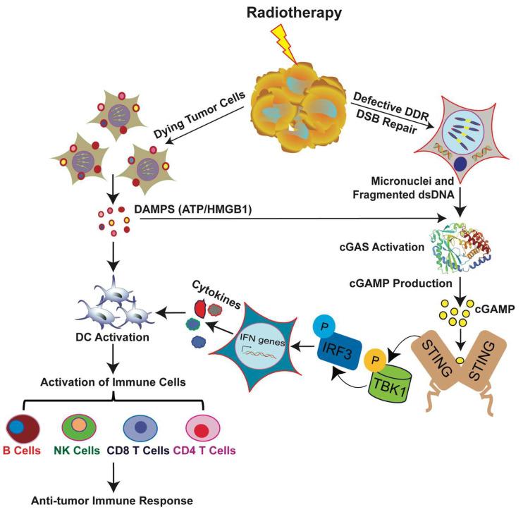 https://cdn.ncbi.nlm.nih.gov/pmc/blobs/e47c/7663574/474fda1081d0/ijms-21-08151-g003.jpg
