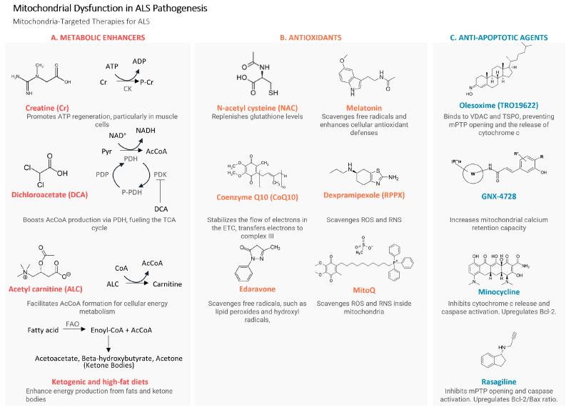 https://cdn.ncbi.nlm.nih.gov/pmc/blobs/e47d/10854804/5b84033ef37c/cells-13-00248-g003.jpg