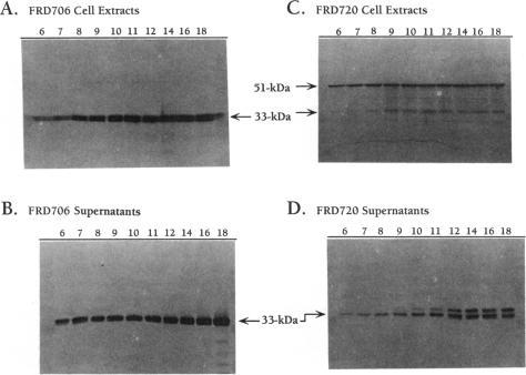 https://cdn.ncbi.nlm.nih.gov/pmc/blobs/e47d/204829/5477f07c7087/jbacter00055-0107-a.jpg