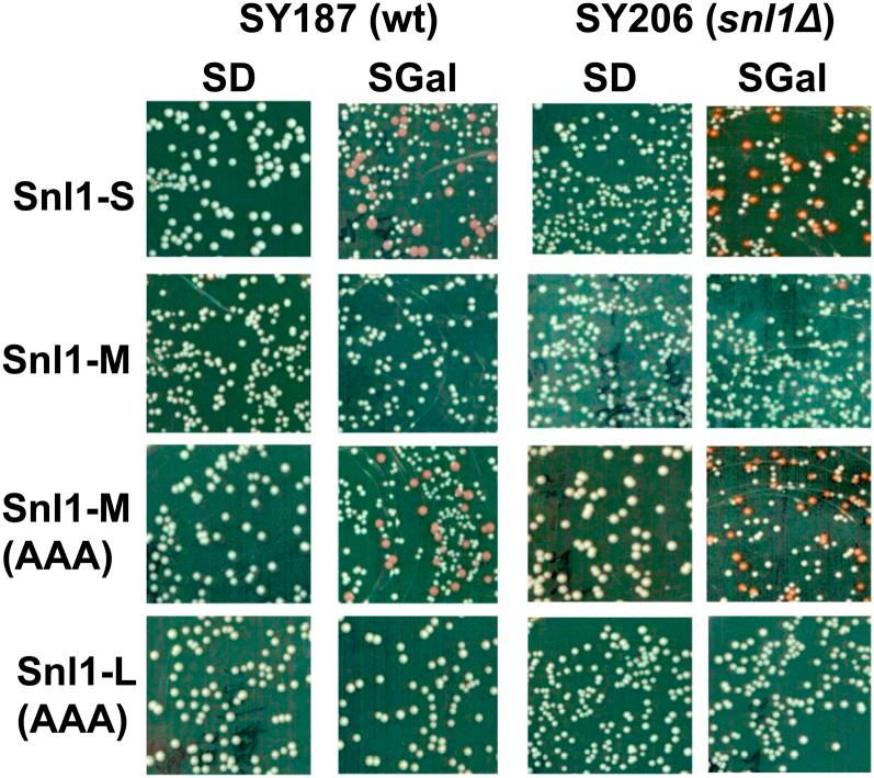 https://cdn.ncbi.nlm.nih.gov/pmc/blobs/e47e/3962485/81ee72577203/461f9.jpg