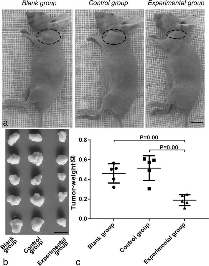 https://cdn.ncbi.nlm.nih.gov/pmc/blobs/e47e/6533754/ea01235bdc24/12944_2019_1058_Fig6_HTML.jpg