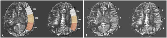 https://cdn.ncbi.nlm.nih.gov/pmc/blobs/e47e/8390823/e3439d3a88ba/kjr-22-1537-g001.jpg