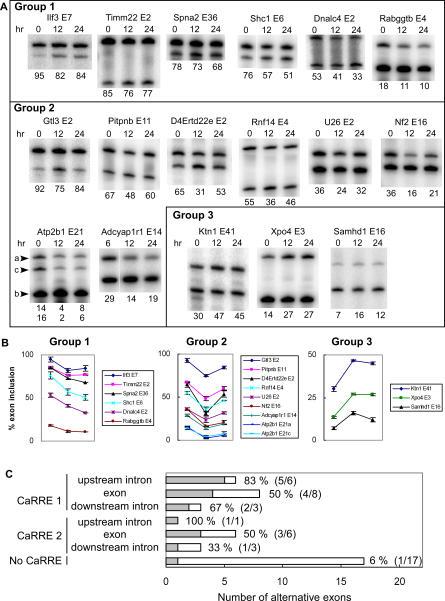 https://cdn.ncbi.nlm.nih.gov/pmc/blobs/e481/1796933/d06d2af3e995/pbio.0050040.g007.jpg