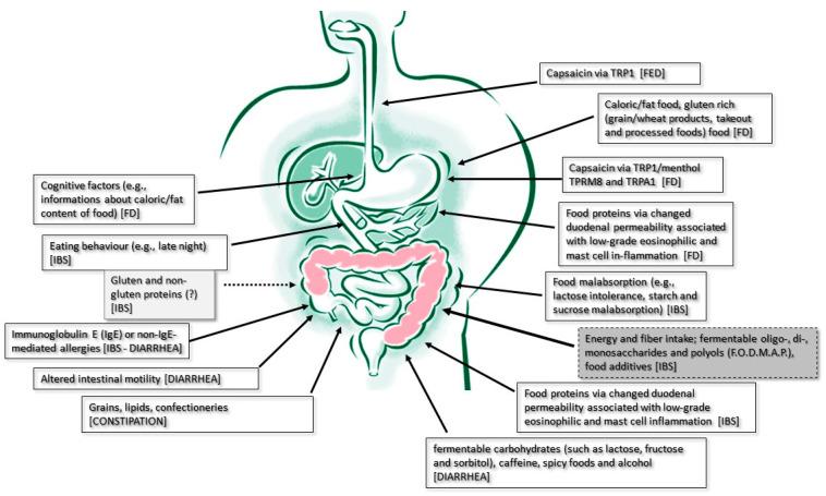 https://cdn.ncbi.nlm.nih.gov/pmc/blobs/e482/10780945/3cf345b20301/nutrients-16-00176-g001.jpg