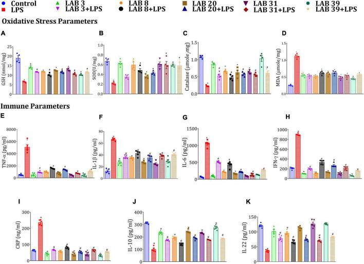 https://cdn.ncbi.nlm.nih.gov/pmc/blobs/e482/9235405/05784b8cb1e5/fmicb-13-930928-g003.jpg
