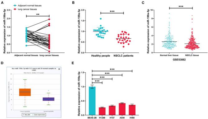 https://cdn.ncbi.nlm.nih.gov/pmc/blobs/e483/7929999/a3210c193b7f/fcell-08-620615-g0003.jpg