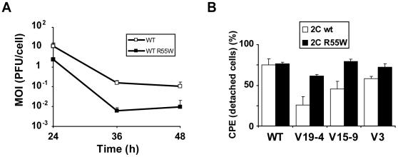 https://cdn.ncbi.nlm.nih.gov/pmc/blobs/e484/2873979/dbc6b7d32c4e/pone.0010735.g006.jpg