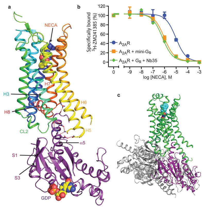 https://cdn.ncbi.nlm.nih.gov/pmc/blobs/e485/4979997/34822fce47e5/emss-68994-f001.jpg