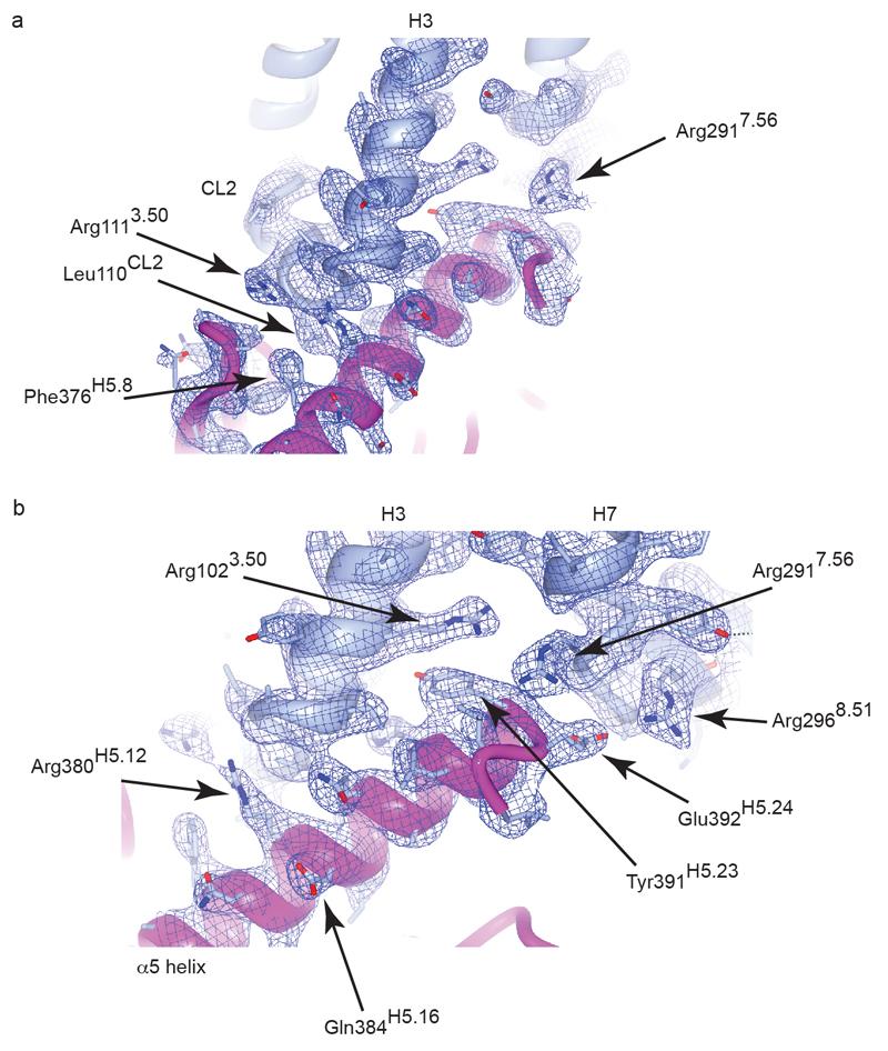 https://cdn.ncbi.nlm.nih.gov/pmc/blobs/e485/4979997/703424044834/emss-68994-f008.jpg