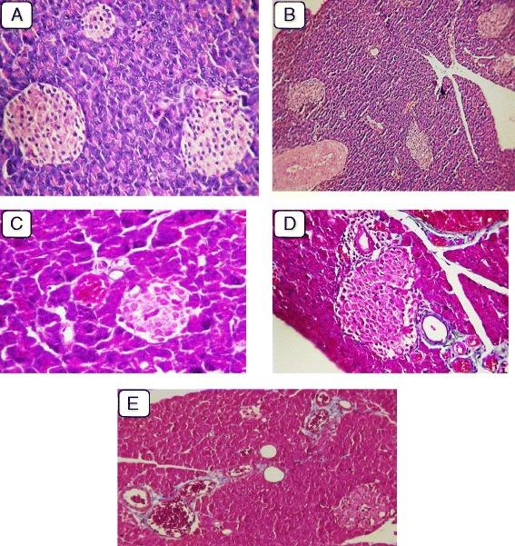 https://cdn.ncbi.nlm.nih.gov/pmc/blobs/e485/5225634/4d40e18f8033/12906_2016_1530_Fig1_HTML.jpg