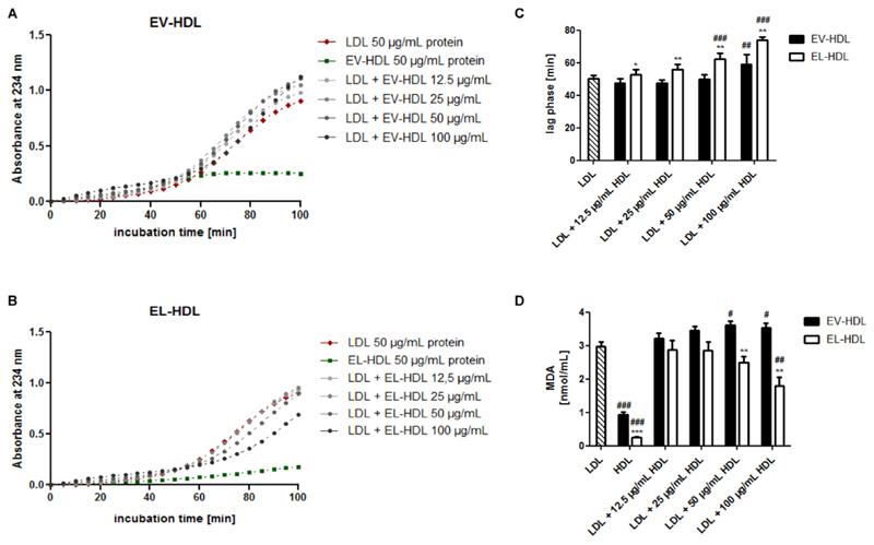 https://cdn.ncbi.nlm.nih.gov/pmc/blobs/e48a/6699986/0877bdac3a19/EMS83891-f003.jpg