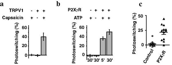 https://cdn.ncbi.nlm.nih.gov/pmc/blobs/e48c/3906498/bdb54ecdf9cb/nihms-397895-f0003.jpg