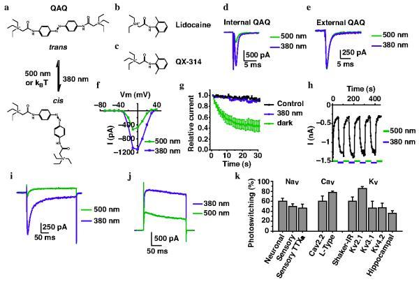 https://cdn.ncbi.nlm.nih.gov/pmc/blobs/e48c/3906498/f90718e10f2d/nihms-397895-f0001.jpg