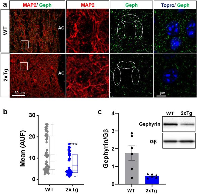 https://cdn.ncbi.nlm.nih.gov/pmc/blobs/e48d/7659319/c021ff4a5063/41598_2020_76456_Fig7_HTML.jpg