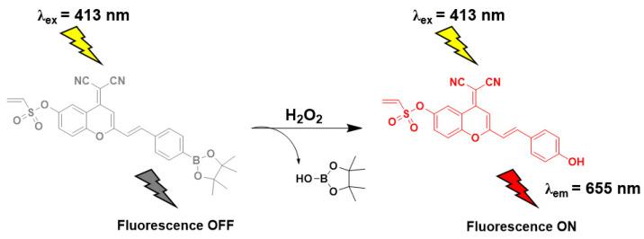 https://cdn.ncbi.nlm.nih.gov/pmc/blobs/e48e/10005547/632629a721fb/molecules-28-02309-sch002.jpg