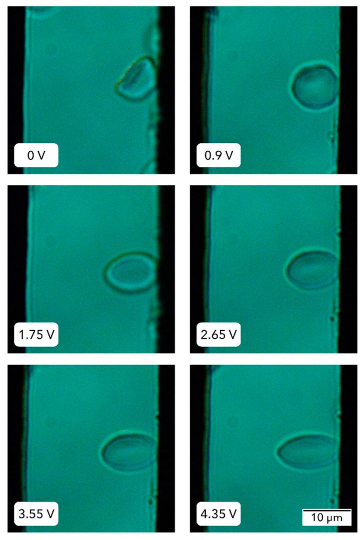 https://cdn.ncbi.nlm.nih.gov/pmc/blobs/e48e/11122917/2154aa6d064e/micromachines-15-00590-g005.jpg