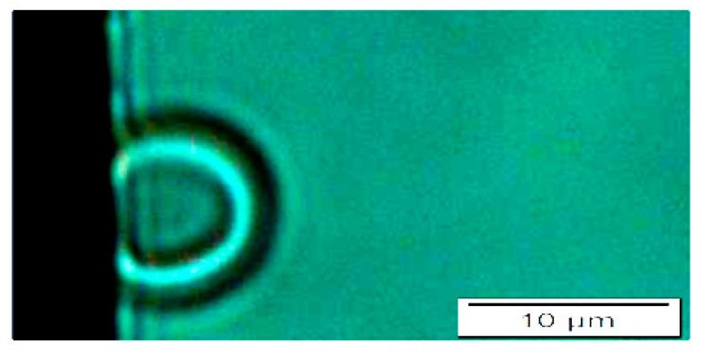 https://cdn.ncbi.nlm.nih.gov/pmc/blobs/e48e/11122917/94db919b716d/micromachines-15-00590-g003.jpg