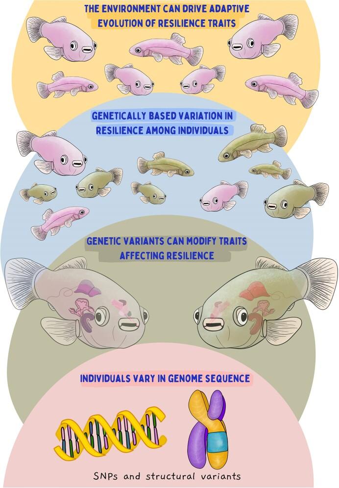 https://cdn.ncbi.nlm.nih.gov/pmc/blobs/e490/11445785/4fcc9539641c/icae019fig3.jpg