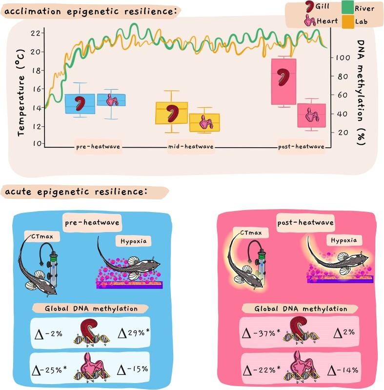 https://cdn.ncbi.nlm.nih.gov/pmc/blobs/e490/11445785/b667a0bb6147/icae019fig5.jpg
