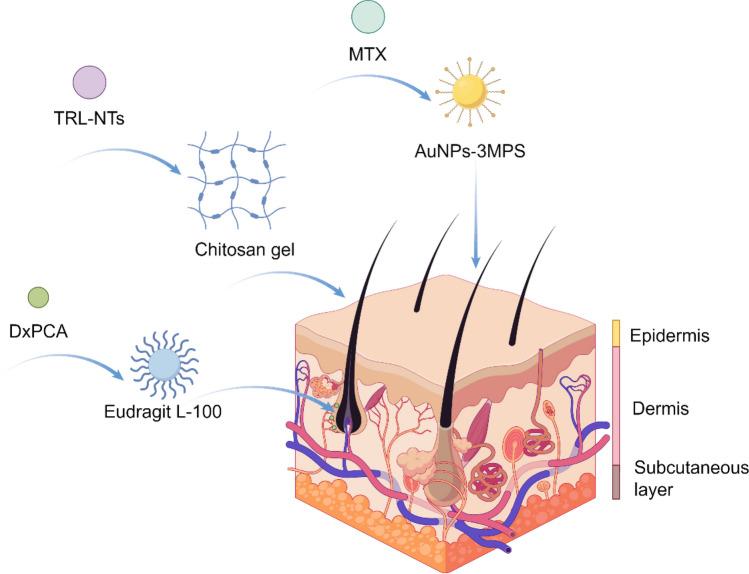 https://cdn.ncbi.nlm.nih.gov/pmc/blobs/e490/12123787/196bfa8abe8a/12951_2025_3442_Fig19_HTML.jpg