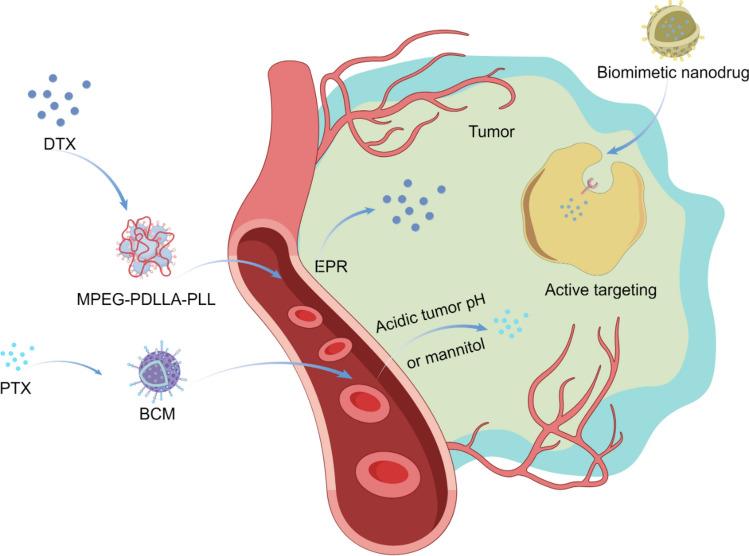 https://cdn.ncbi.nlm.nih.gov/pmc/blobs/e490/12123787/36e2d4505644/12951_2025_3442_Fig8_HTML.jpg