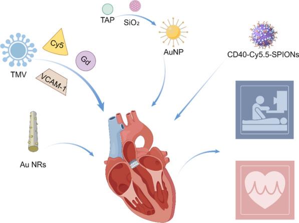 https://cdn.ncbi.nlm.nih.gov/pmc/blobs/e490/12123787/3f9d81523259/12951_2025_3442_Fig14_HTML.jpg