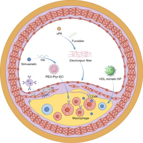 https://cdn.ncbi.nlm.nih.gov/pmc/blobs/e490/12123787/7352bb8b3481/12951_2025_3442_Fig15_HTML.jpg