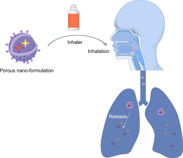 https://cdn.ncbi.nlm.nih.gov/pmc/blobs/e490/12123787/7b0ba63dbe18/12951_2025_3442_Fig13_HTML.jpg