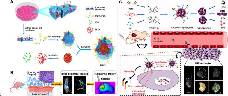 https://cdn.ncbi.nlm.nih.gov/pmc/blobs/e490/12123787/d19fccd3e58e/12951_2025_3442_Fig5_HTML.jpg