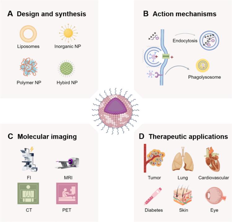 https://cdn.ncbi.nlm.nih.gov/pmc/blobs/e490/12123787/d248bcdae529/12951_2025_3442_Fig2_HTML.jpg