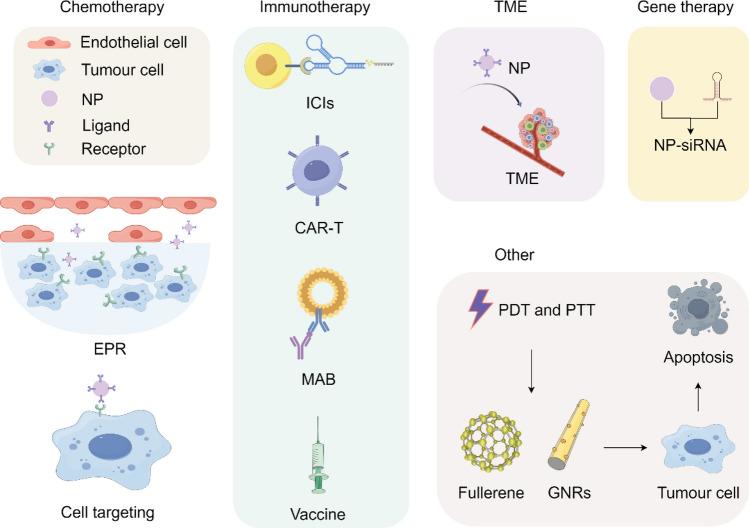 https://cdn.ncbi.nlm.nih.gov/pmc/blobs/e490/12123787/eb38962651a1/12951_2025_3442_Fig7_HTML.jpg