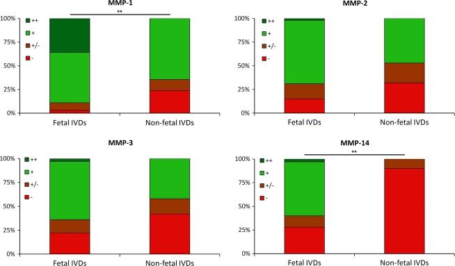 https://cdn.ncbi.nlm.nih.gov/pmc/blobs/e490/2989195/963c02c867fc/586_2010_1378_Fig3_HTML.jpg
