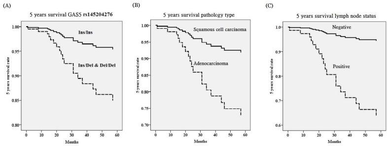 https://cdn.ncbi.nlm.nih.gov/pmc/blobs/e490/7294910/196a629dbf22/ijmsv17p1187g001.jpg