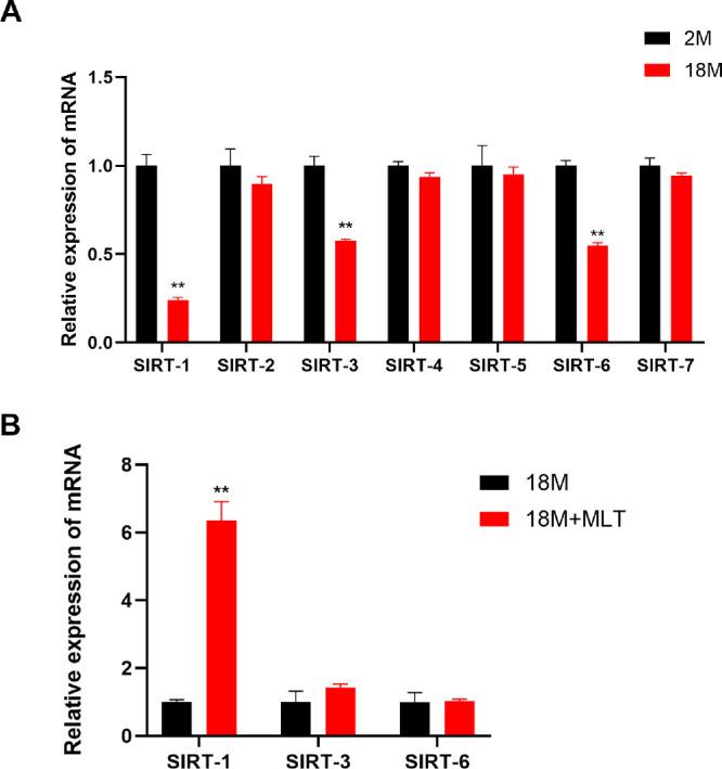 https://cdn.ncbi.nlm.nih.gov/pmc/blobs/e491/11844230/d07aacc8a2a1/iovs-66-2-51-f005.jpg