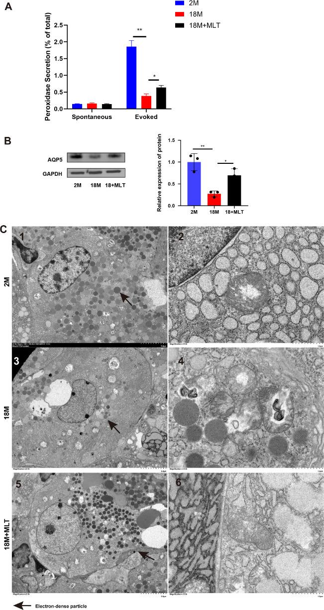 https://cdn.ncbi.nlm.nih.gov/pmc/blobs/e491/11844230/fa856945a124/iovs-66-2-51-f002.jpg
