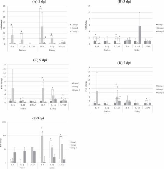 https://cdn.ncbi.nlm.nih.gov/pmc/blobs/e491/7194964/5ba745a1091b/gr4.jpg
