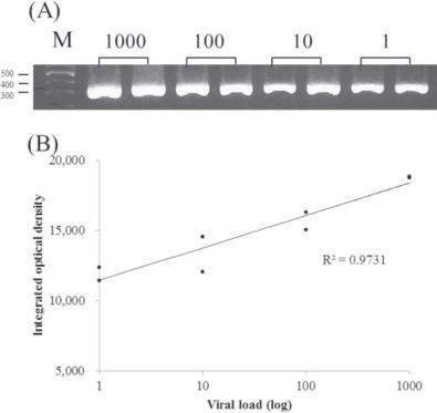 https://cdn.ncbi.nlm.nih.gov/pmc/blobs/e491/7194964/d27c3063dbdb/gr1.jpg