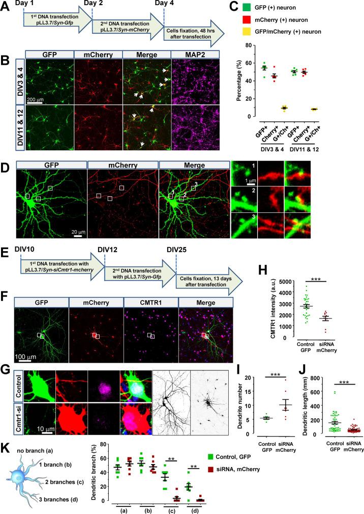 https://cdn.ncbi.nlm.nih.gov/pmc/blobs/e494/10867895/154d97824058/nn3c09608_0003.jpg