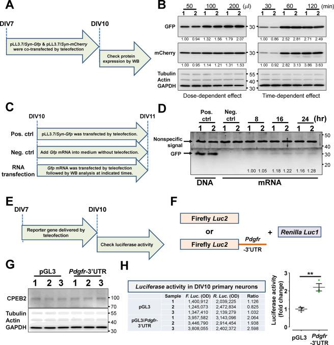 https://cdn.ncbi.nlm.nih.gov/pmc/blobs/e494/10867895/618bdd85c1d3/nn3c09608_0004.jpg