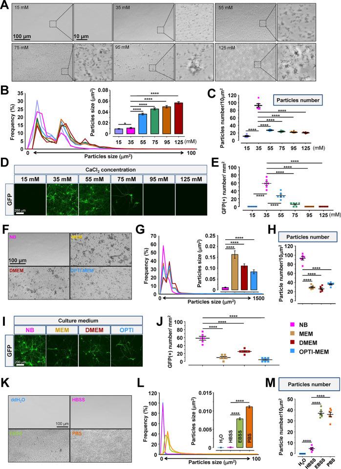 https://cdn.ncbi.nlm.nih.gov/pmc/blobs/e494/10867895/779a3d66a8b9/nn3c09608_0001.jpg