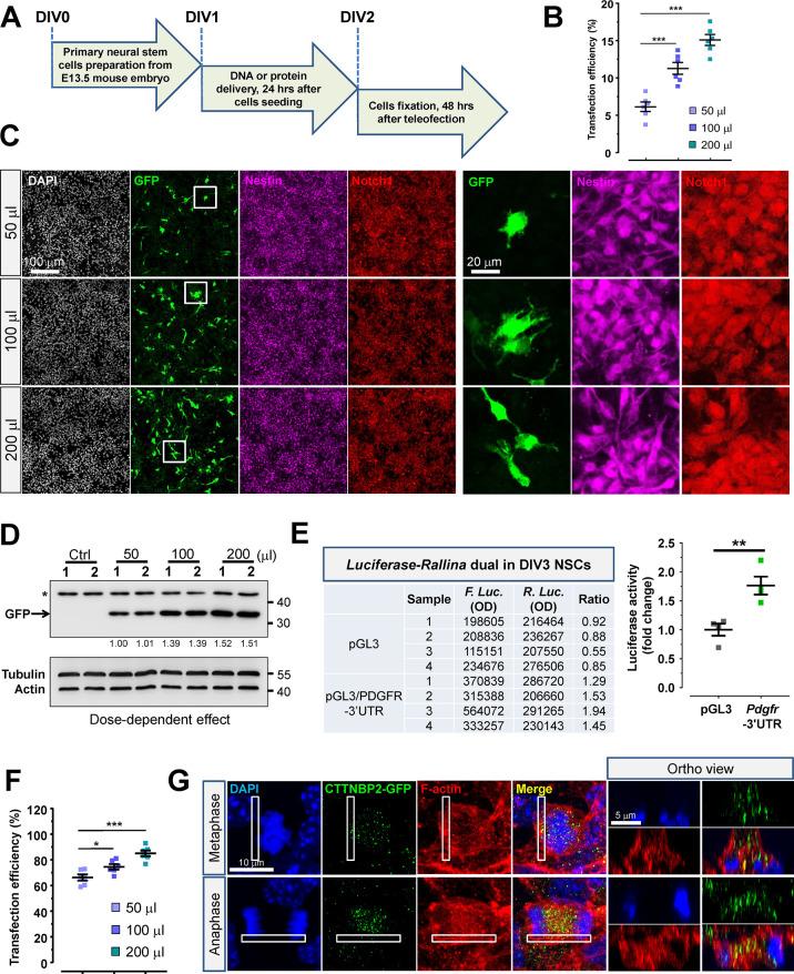 https://cdn.ncbi.nlm.nih.gov/pmc/blobs/e494/10867895/e9dd4a68fbf9/nn3c09608_0006.jpg