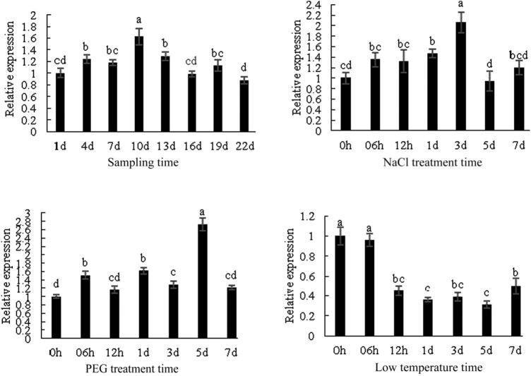 https://cdn.ncbi.nlm.nih.gov/pmc/blobs/e494/9518663/e1dd94a54f67/j_biol-2022-0490-fig011.jpg