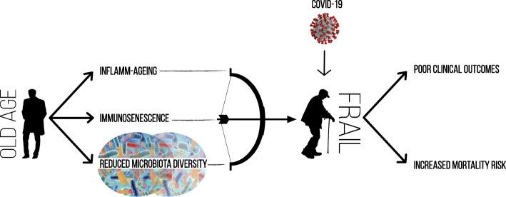 https://cdn.ncbi.nlm.nih.gov/pmc/blobs/e497/8237444/c5347d93127d/12877_2021_2316_Fig1_HTML.jpg