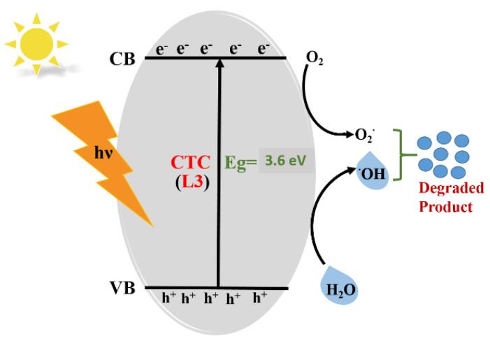 https://cdn.ncbi.nlm.nih.gov/pmc/blobs/e497/8912118/152f96c4864b/molecules-27-01724-g007.jpg