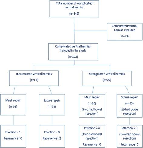 https://cdn.ncbi.nlm.nih.gov/pmc/blobs/e498/5516310/36aaf6026153/13017_2017_143_Fig1_HTML.jpg
