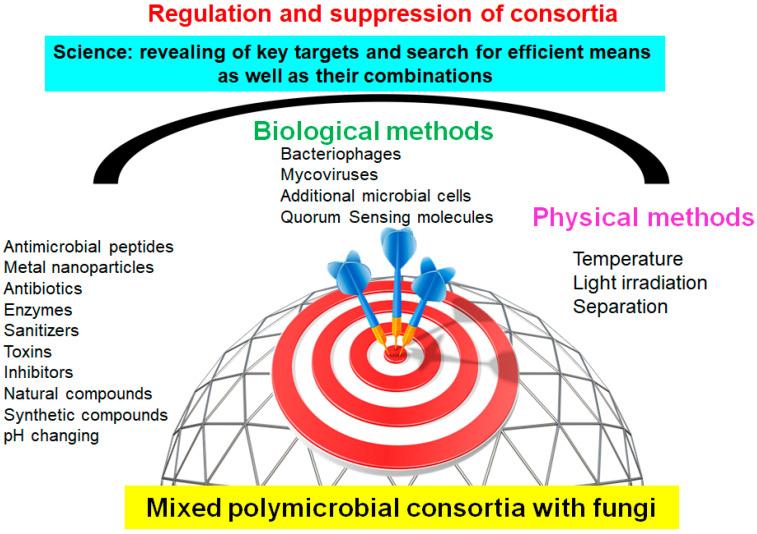 https://cdn.ncbi.nlm.nih.gov/pmc/blobs/e49c/11356704/81896f82f25f/microorganisms-12-01650-g002.jpg
